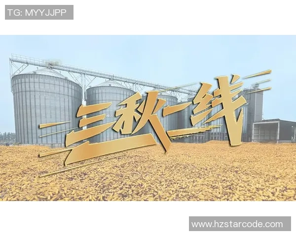 重磅专题：上海排球队的快攻革新